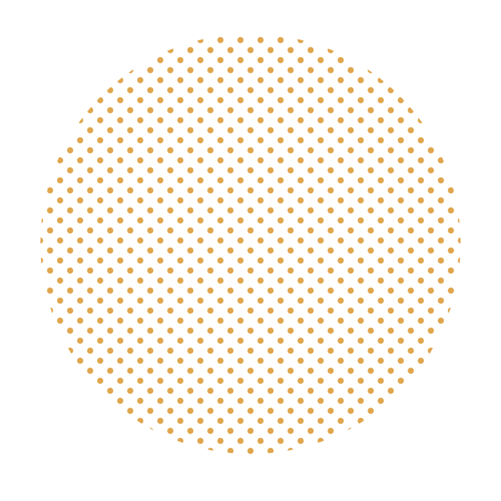 graphic of a circle with dots